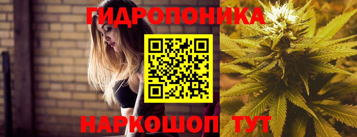 Каннабис SATIVA & INDICA  Каннабис семена  Вход с VPN  Чайковский  Конопля конопля 